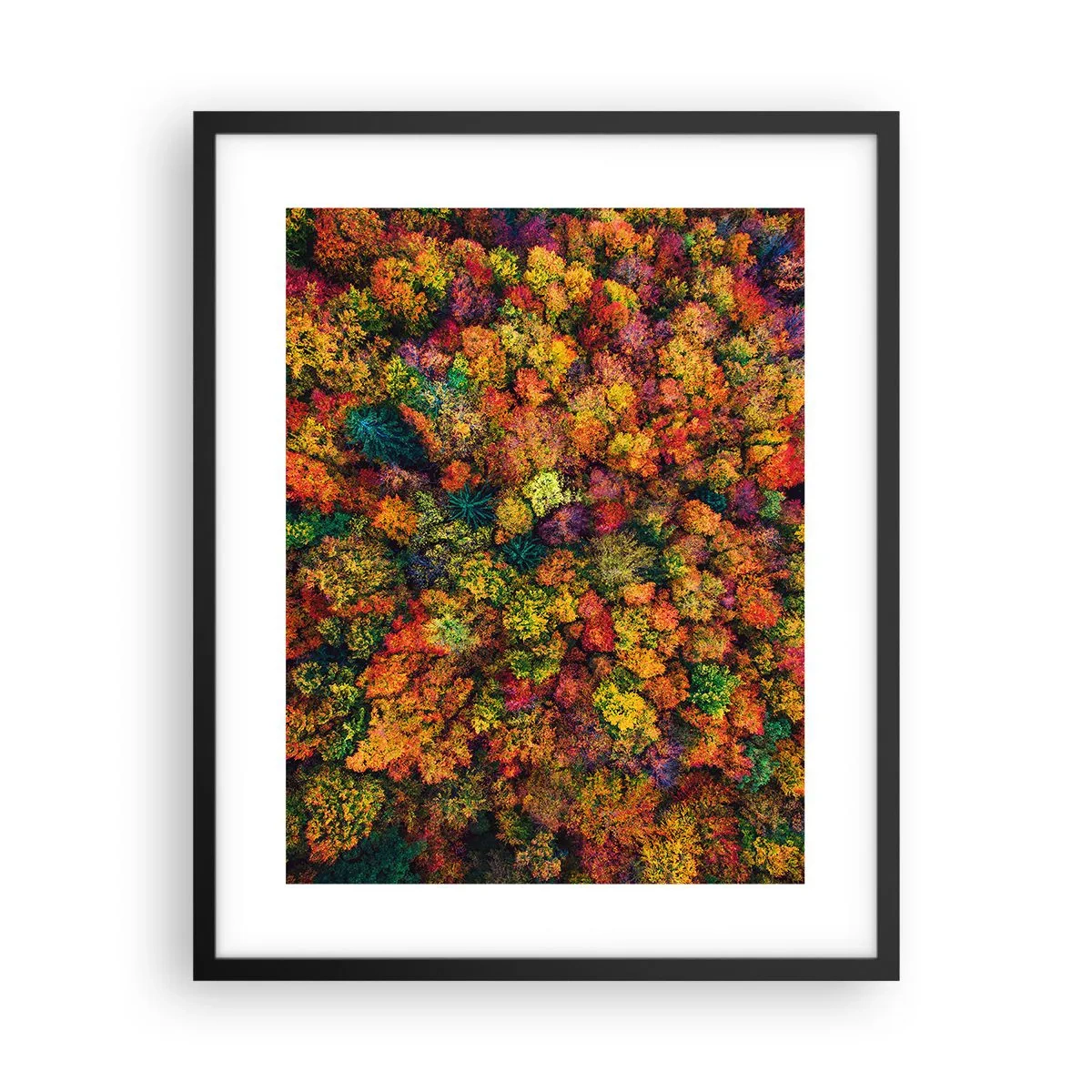 Poster in einem schwarzem Rahmen - Blumenstrauß aus Herbstbäumen - 40x50 cm