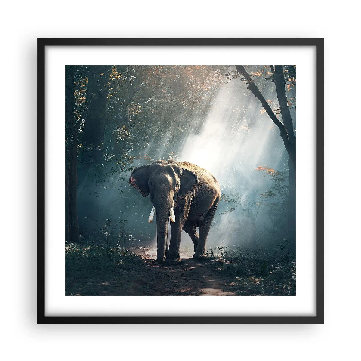 Poster in einem schwarzem Rahmen - Ein gemütlicher Spaziergang - 50x50 cm