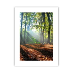 Poster - Licht und Schatten - 30x40 cm