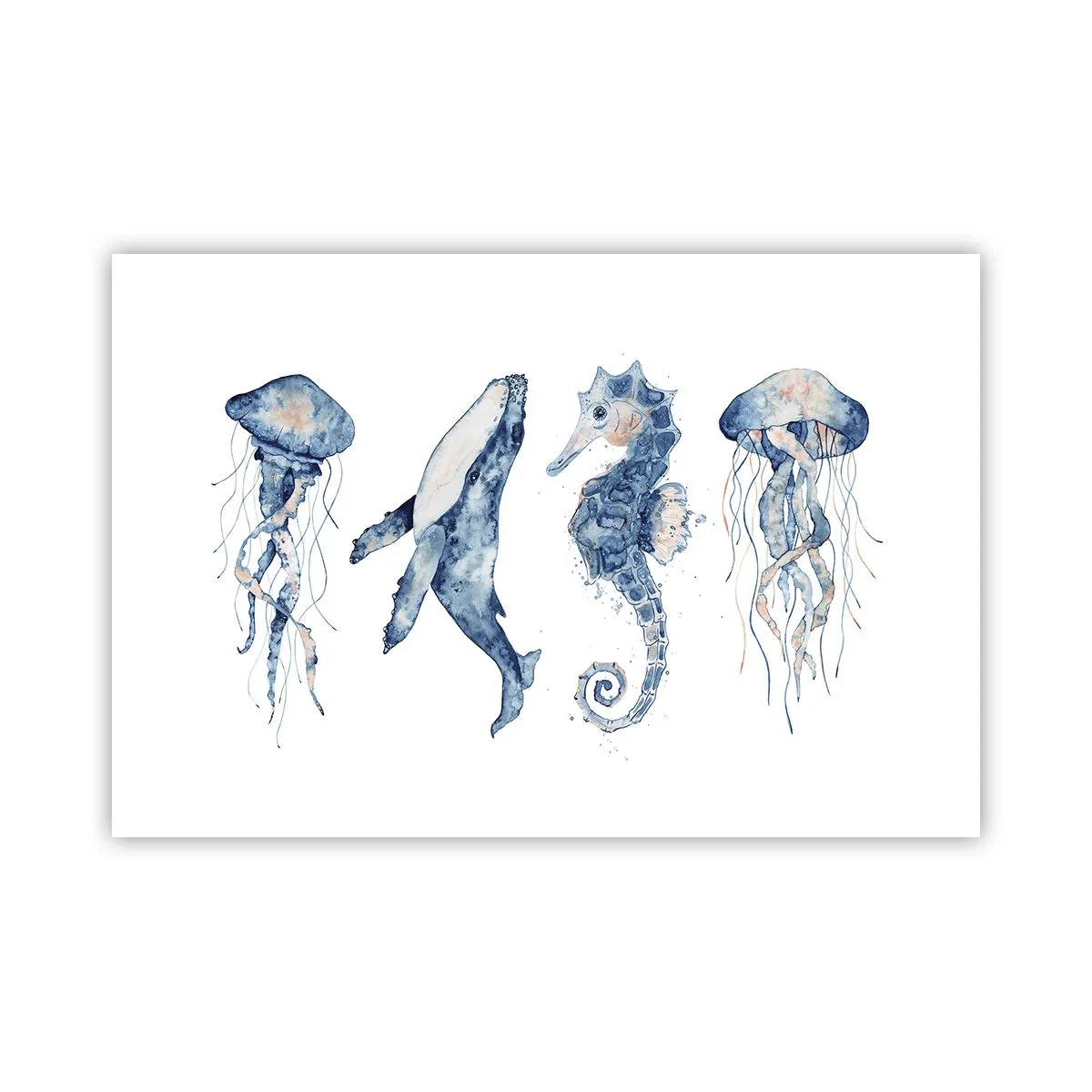 Poster - Meereswunder - 91x61 cm