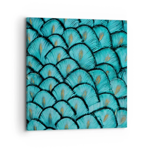 Bild auf Leinwand - Leinwandbild - Große Federgala - 70x70 cm