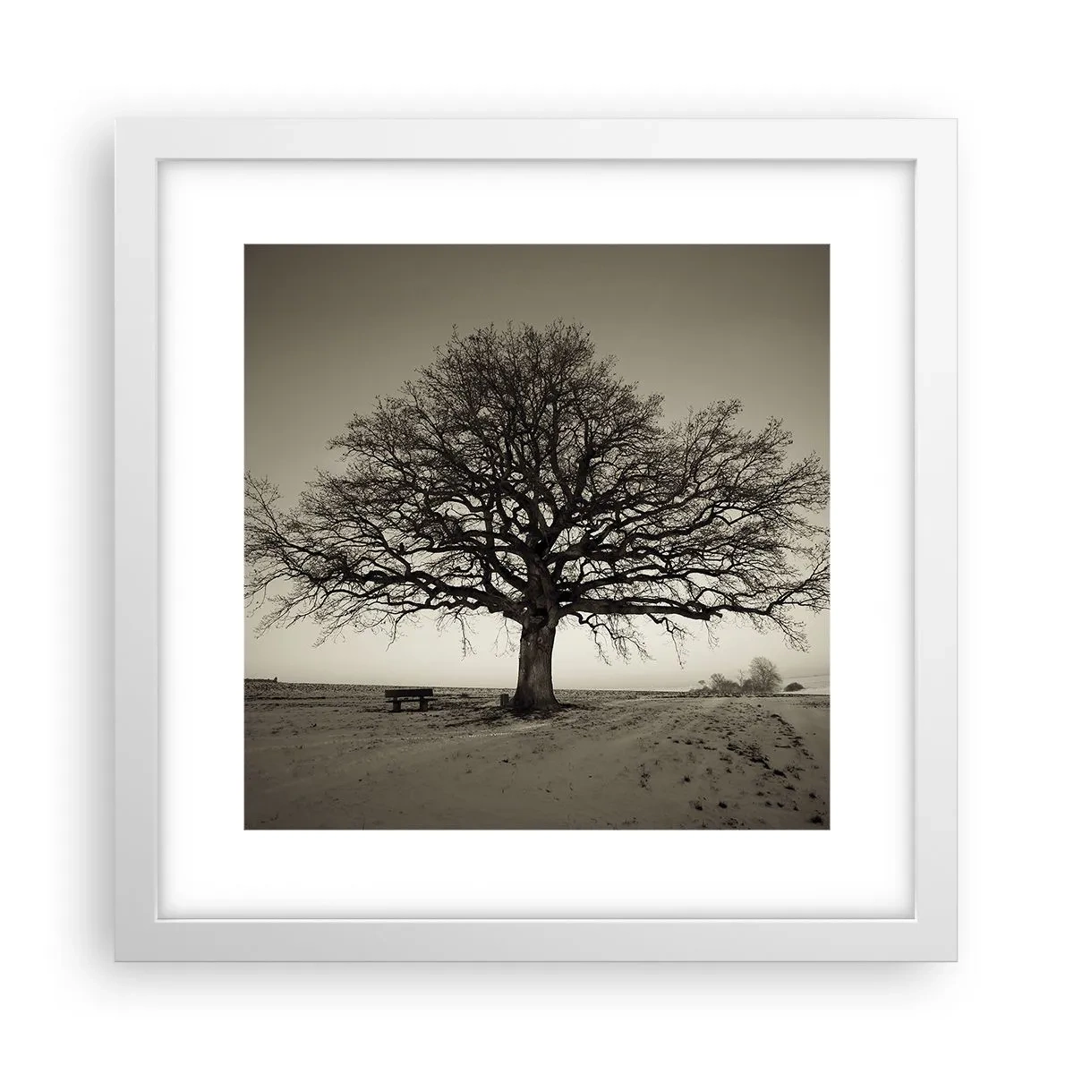 Poster in einem weißen Rahmen - Von hier zu Ewigkeit - 30x30 cm