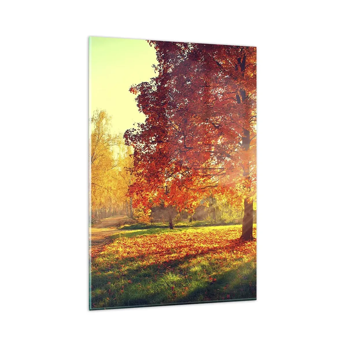 Glasbild - Bild auf glas - Herbstpark im Sonnenlicht - 80x120cm - Unhöflich ist schön - Moderne Wanddekoration für Wohnzimmer und Schlafzimmer ARTTOR