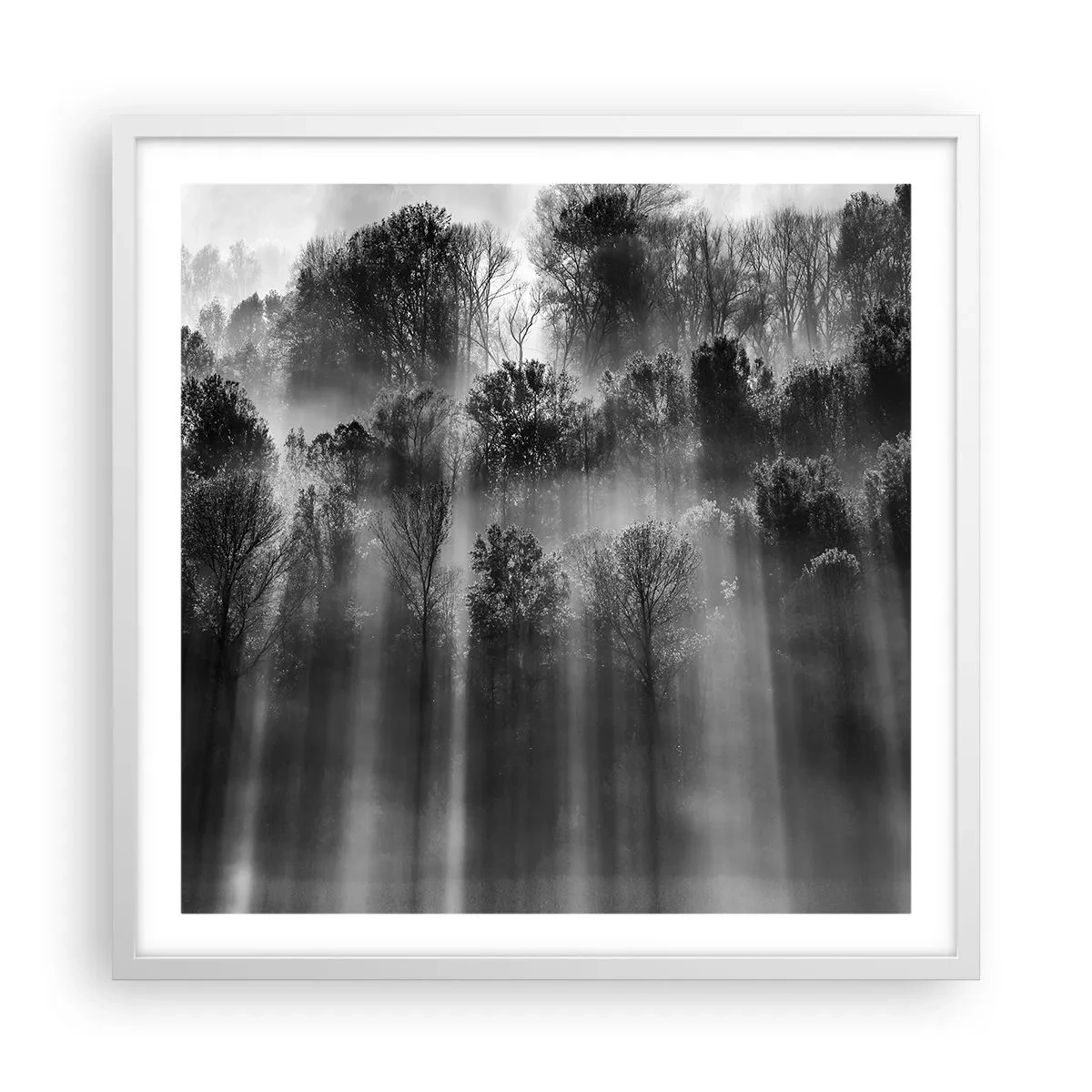 Poster in einem weißen Rahmen - In Lichtstrahlen - 60x60 cm