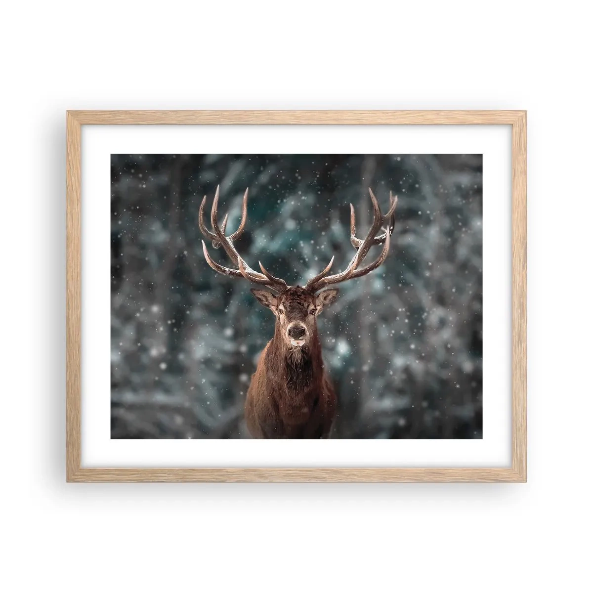 Poster in einem Rahmen aus heller Eiche - Gekrönter König des Waldes - 50x40 cm