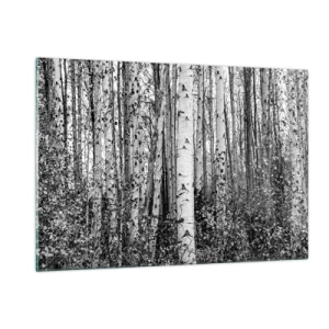 Glasbild - Bild auf glas - Schwarze und weiße Birken schaffen eine dichte Waldlandschaft - 120x80cm - Birkenkolonnade - Moderne Wanddekoration für Wohnzimmer und Schlafzimmer ARTTOR