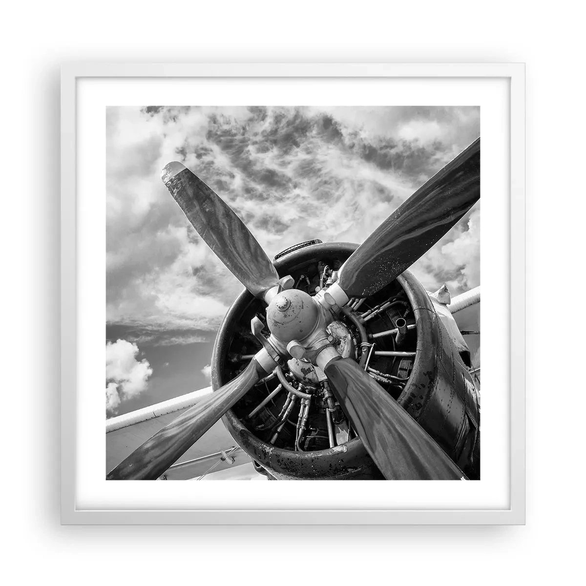Poster in einem weißen Rahmen - Eroberer der Lüfte - 50x50 cm