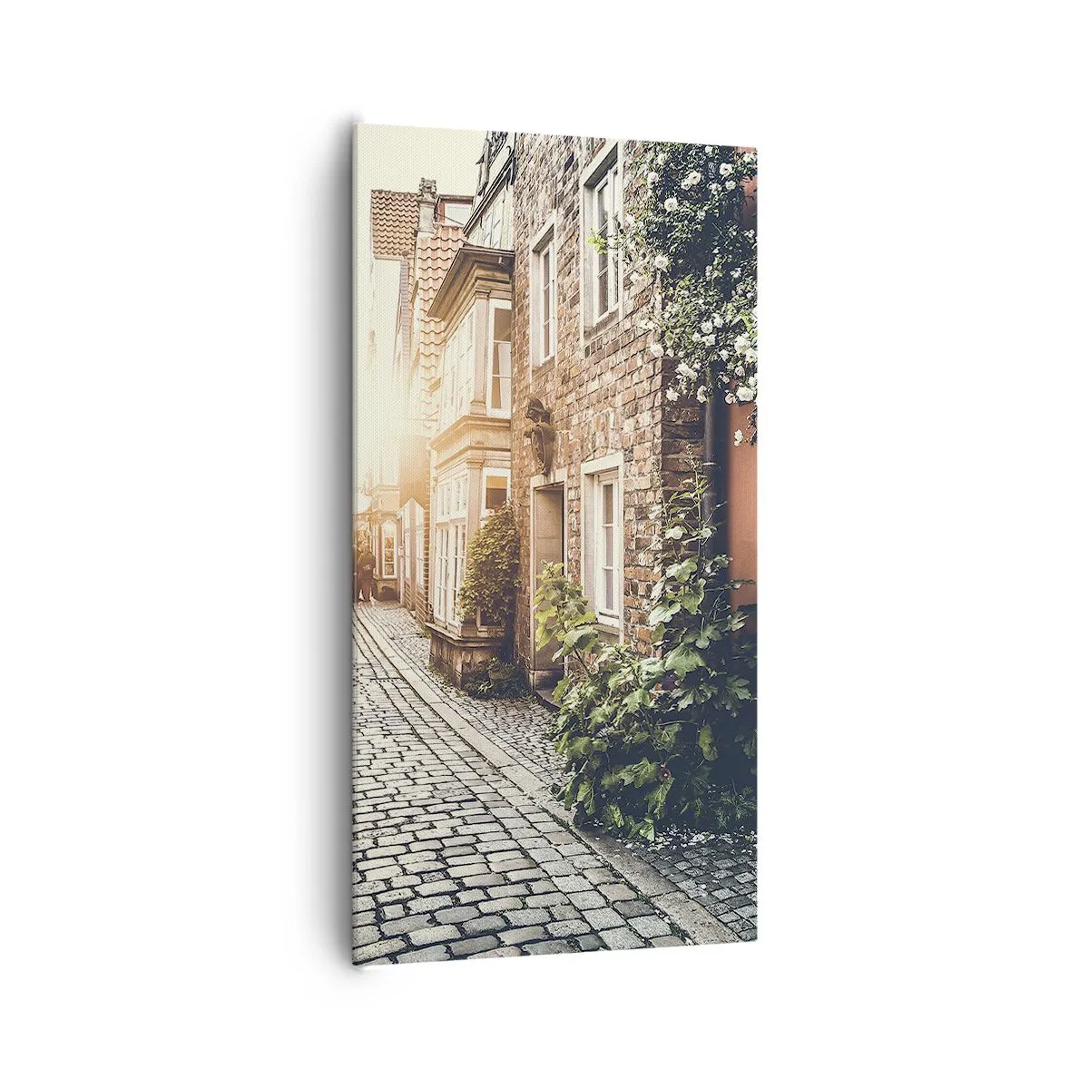 Bild auf Leinwand - Leinwandbild - Rosenallee im rosa Schein - 65x120 cm