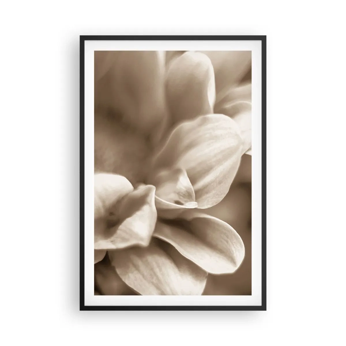 Poster in einem schwarzem Rahmen - So sanft wie ein Lächeln - 61x91 cm