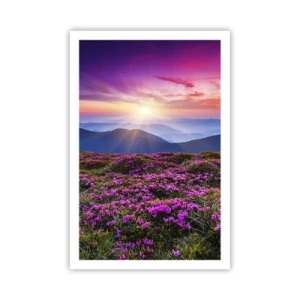 Poster - Kräuter dufteten nach frischen Trauben von den Feldern - 61x91 cm