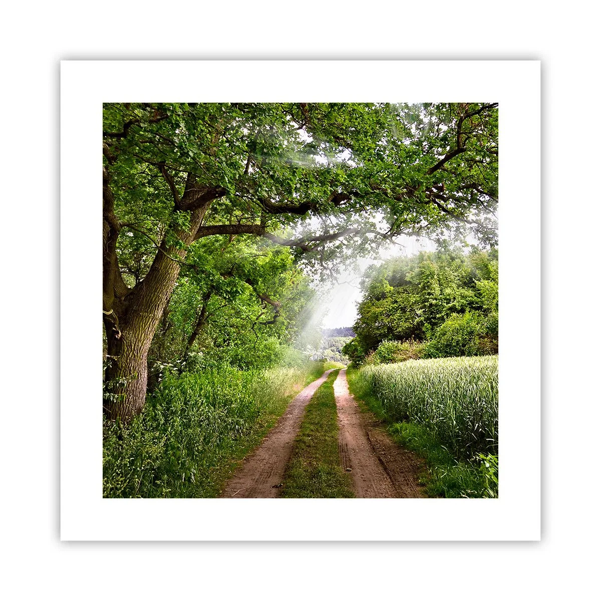 Poster - Et in Arcadia ego - 40x40 cm