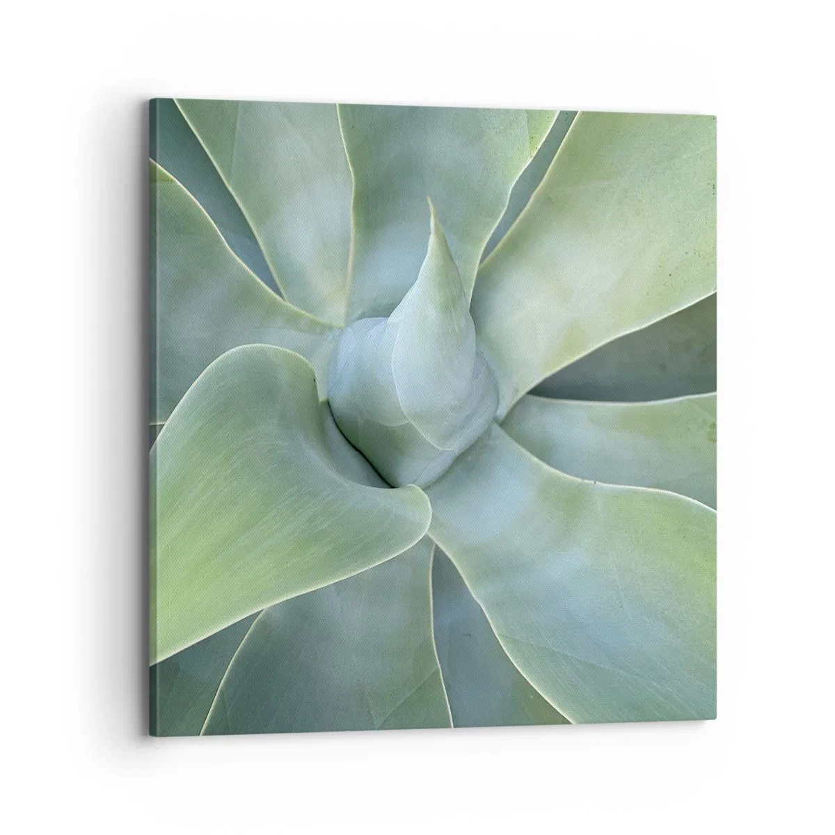 Bild auf Leinwand - Leinwandbild - Geburt des Grüns - 70x70 cm