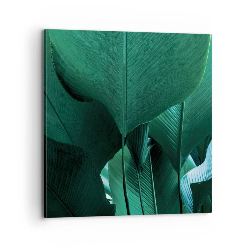 Bild auf Leinwand - Leinwandbild - Dem Licht zugewandt - 70x70 cm