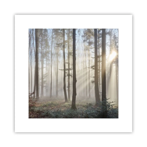 Poster - Der Nebel ist auch aufgewacht - 30x30 cm