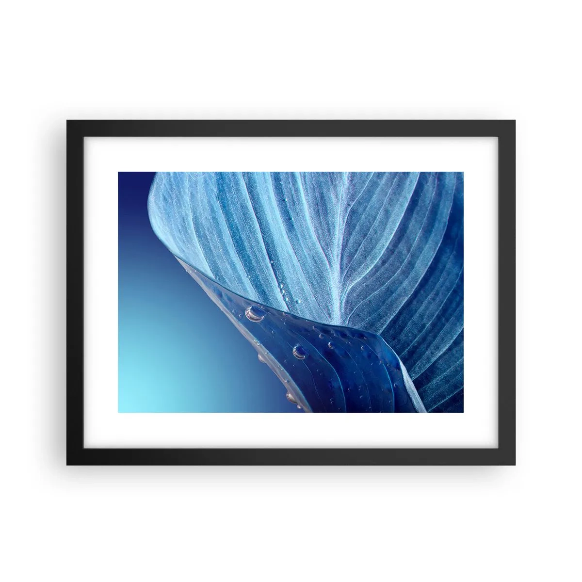 Poster in einem schwarzem Rahmen - Versteckte Tropfen vom Blau - 40x30 cm