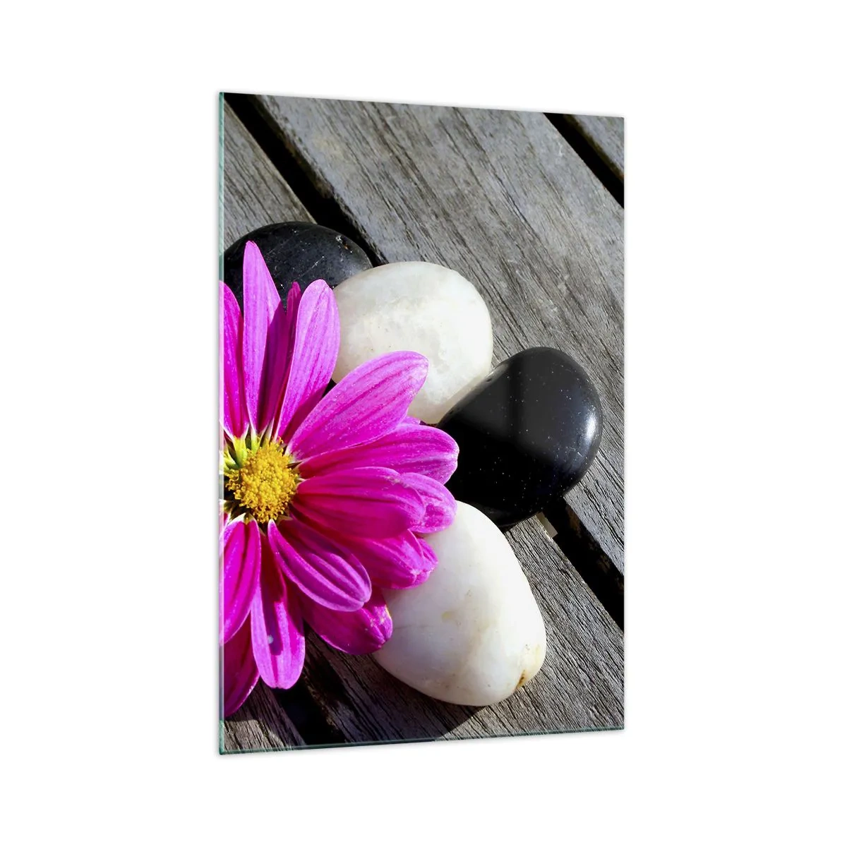 Glasbild - Bild auf glas - Rosa Blume auf einem Hintergrund aus Holzbrettern mit Steinen - 70x100cm - Ruhe auf dem Pier - Moderne Wanddekoration für Wohnzimmer und Schlafzimmer ARTTOR