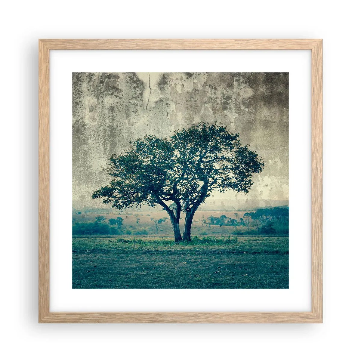 Poster in einem Rahmen aus heller Eiche - Ein Apfelbaum auf blauem Feld? - 40x40 cm