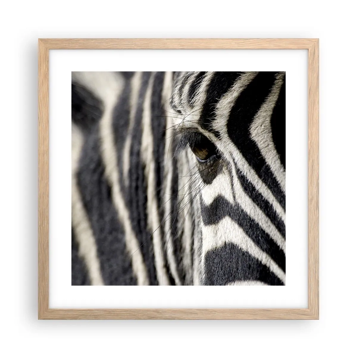 Poster in einem Rahmen aus heller Eiche - Gestreiftes Porträt - 40x40 cm