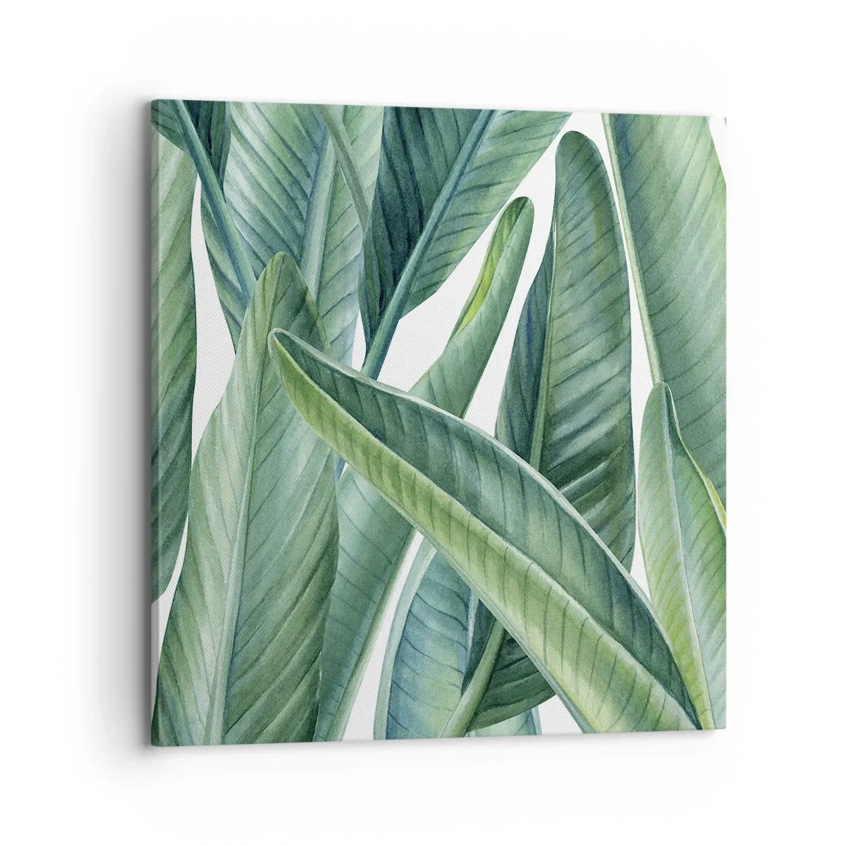 Bild auf Leinwand - Leinwandbild - An und für sich Grün - 70x70 cm