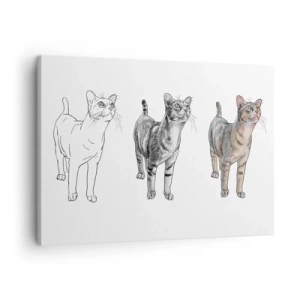 Bild auf Leinwand - Leinwandbild - Die Entwicklung einer Katzenzeichnung von der Skizze zur farbigen Form - 70x50cm - Zeichenunterricht - Moderne Wanddekoration für Wohnzimmer und Schlafzimmer ARTTOR