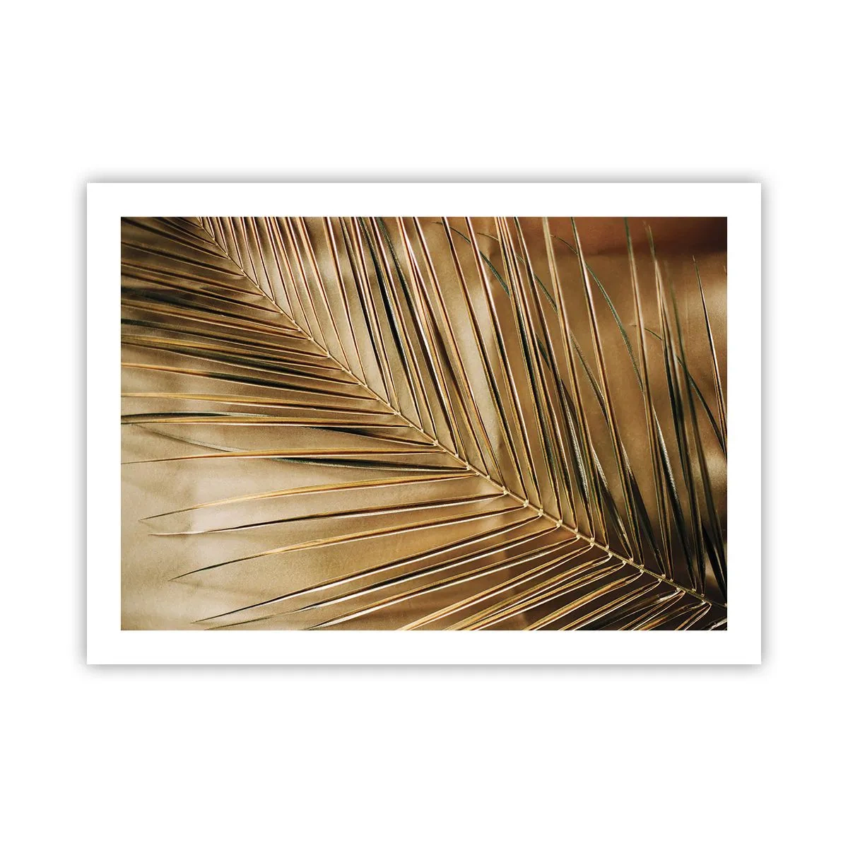 Poster - Natürliche Kolonnade - 70x50 cm