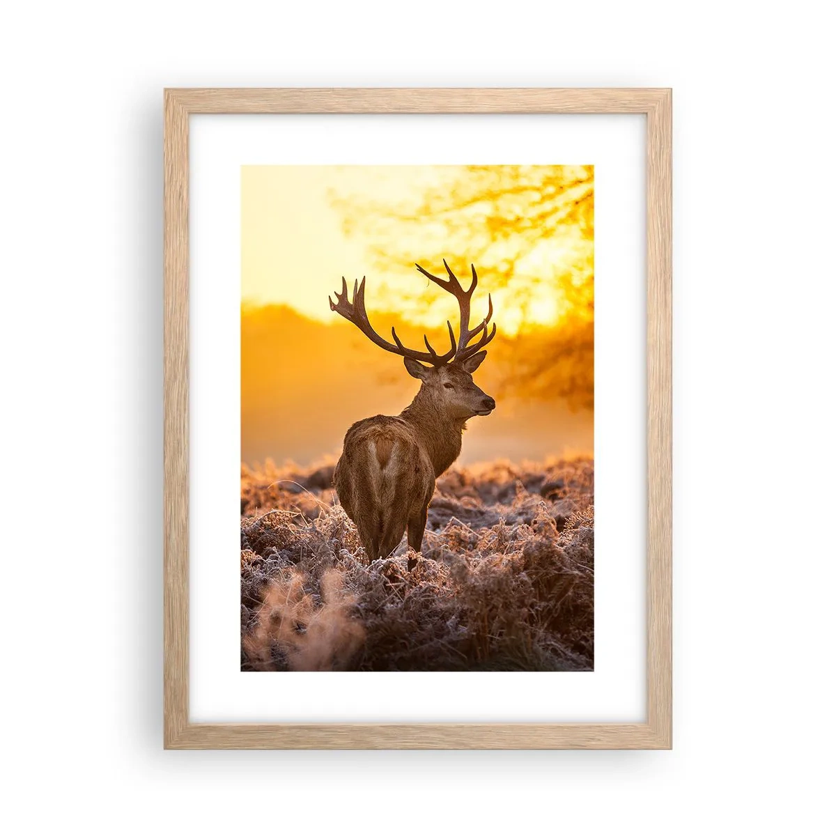 Poster in einem Rahmen aus heller Eiche - König des Herbstwaldes - 30x40 cm