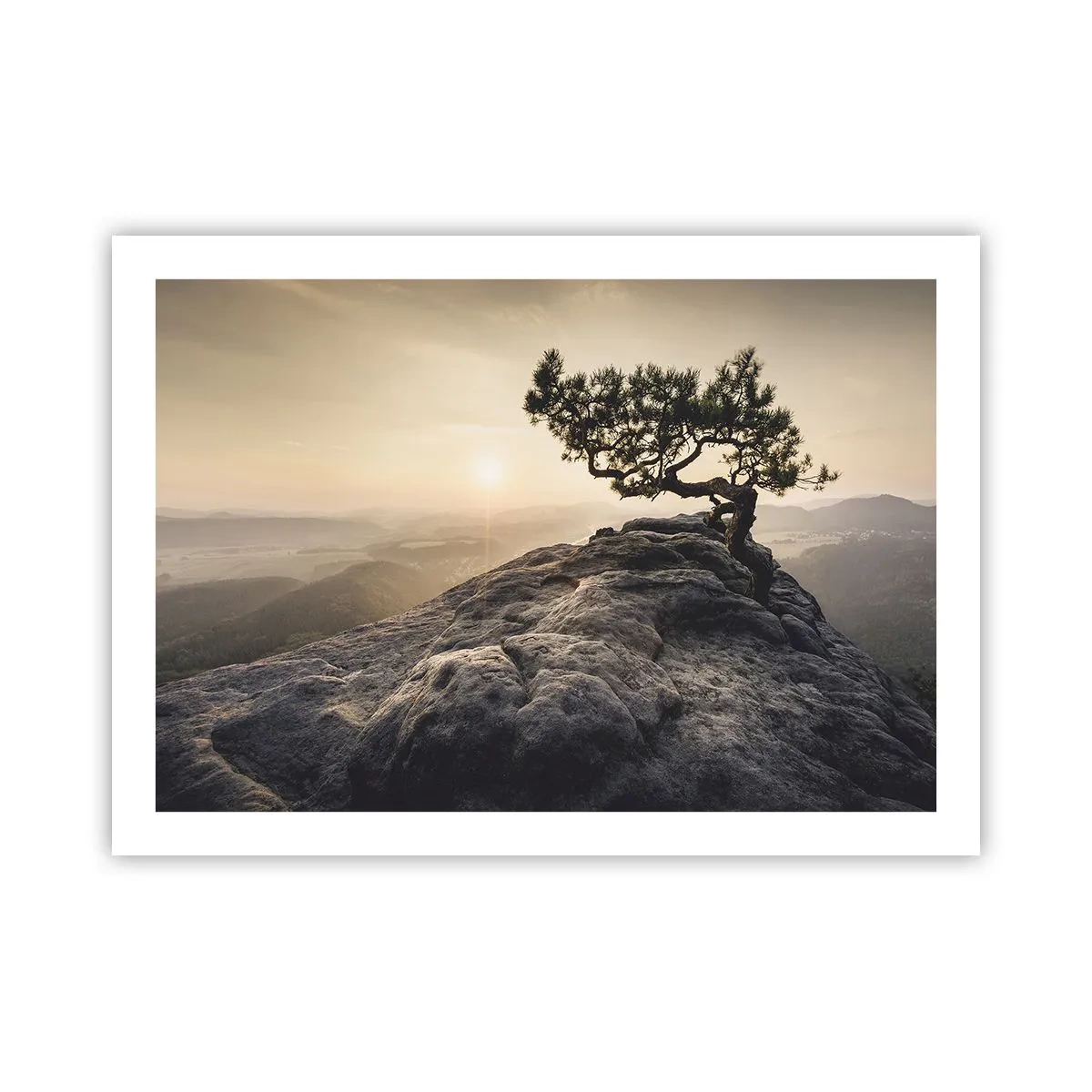 Poster - Das Leben gewinnt immer - 70x50 cm
