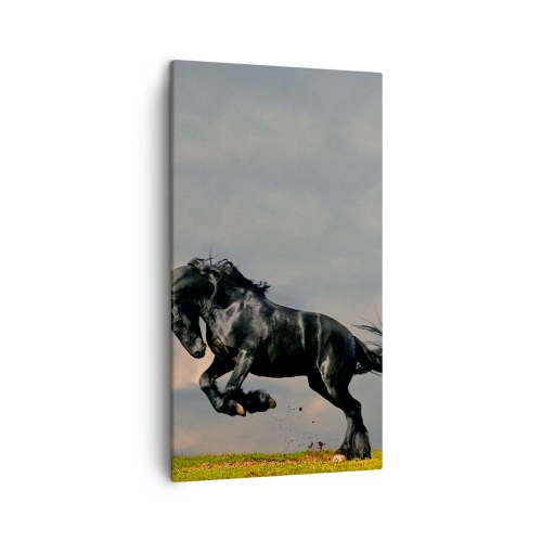Bild auf Leinwand - Leinwandbild - Schön und frei - 45x80 cm
