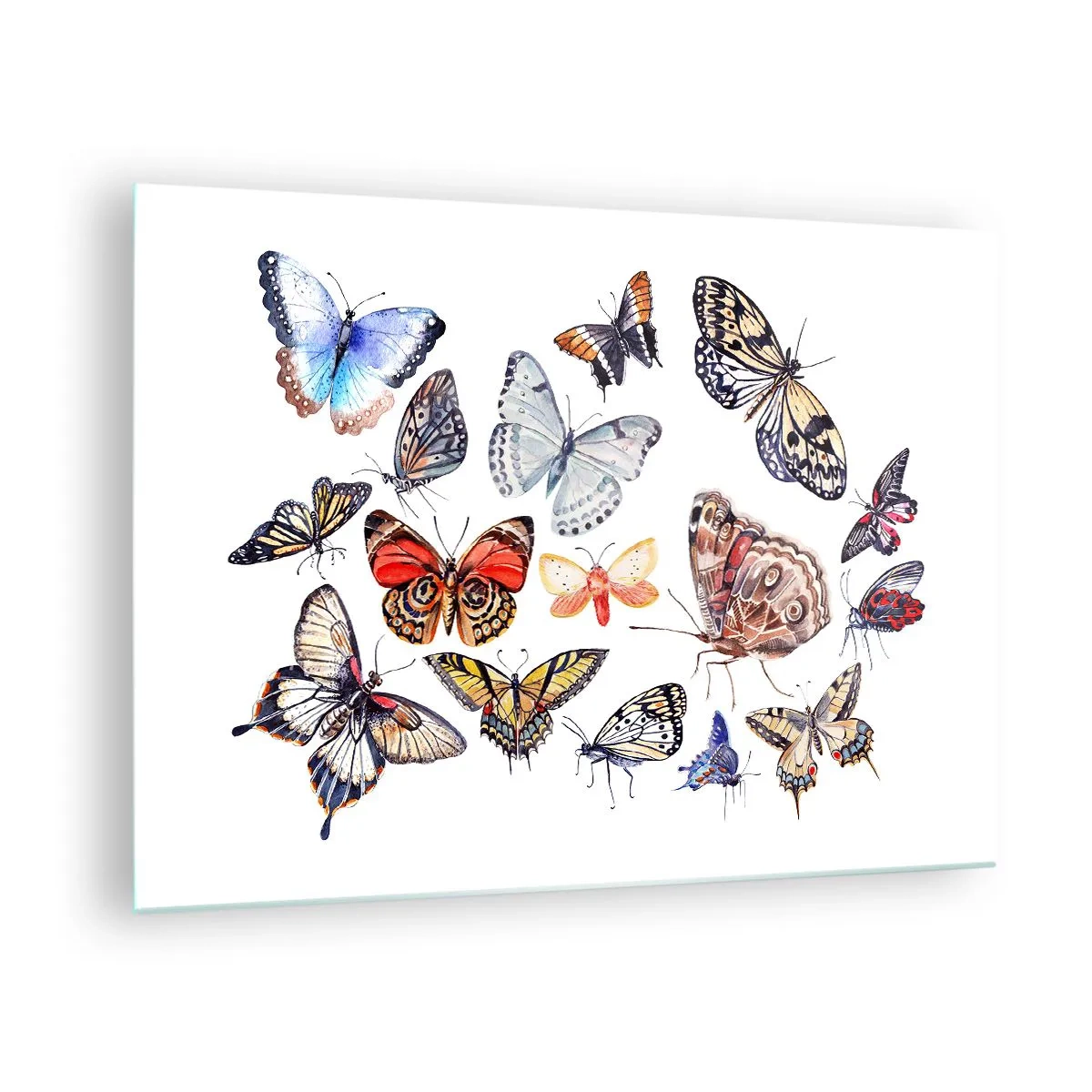 Glasbild - Bild auf glas - Bunte Schmetterlinge in einer künstlerischen Komposition - 70x50cm - Spitzen, bunter Schwarm - Moderne Wanddekoration für Wohnzimmer und Schlafzimmer ARTTOR