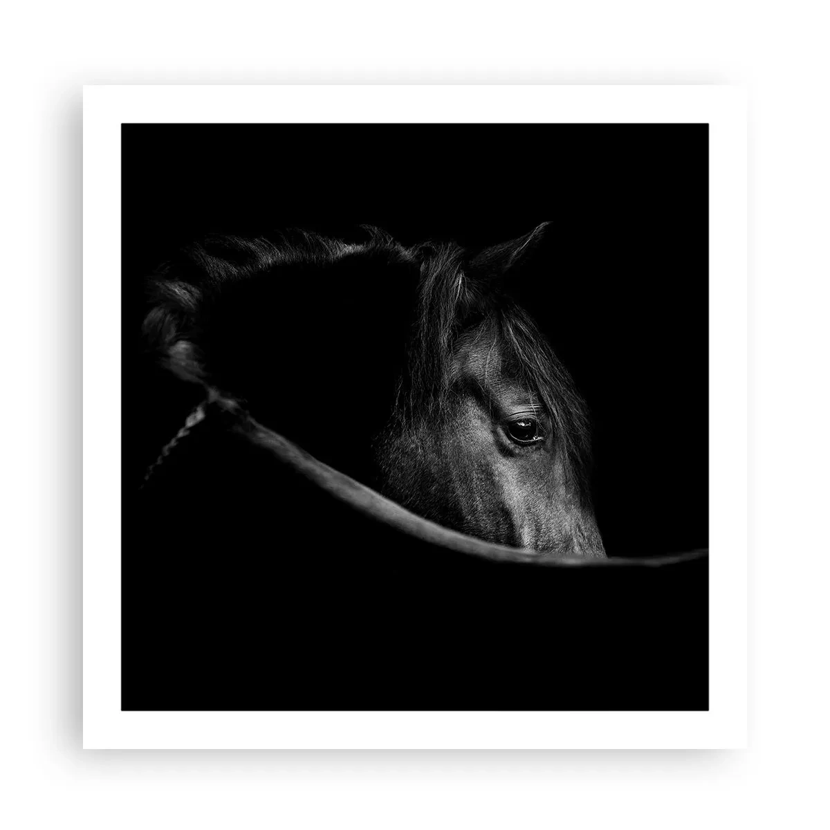 Poster - Schwarzer Prinz - 60x60 cm