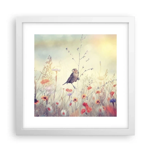 Poster in einem weißen Rahmen - Vogelporträt mit einer Wiese im Hintergrund - 30x30 cm
