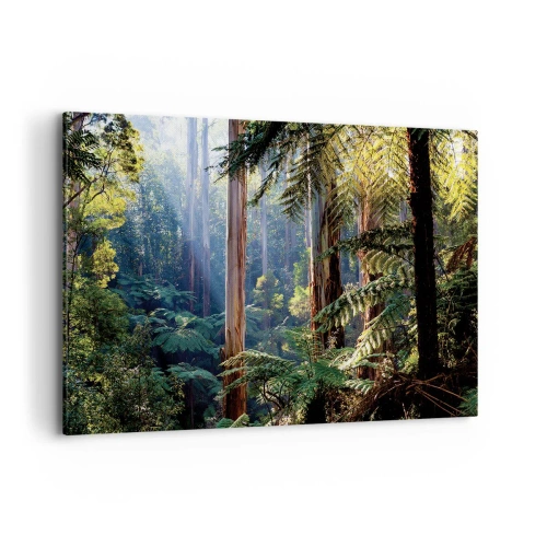 Bild auf Leinwand - Leinwandbild - Tropischer Wald, beleuchtet von den Sonnenstrahlen - 120x80cm - Ein Waldmärchen - Moderne Wanddekoration für Wohnzimmer und Schlafzimmer ARTTOR