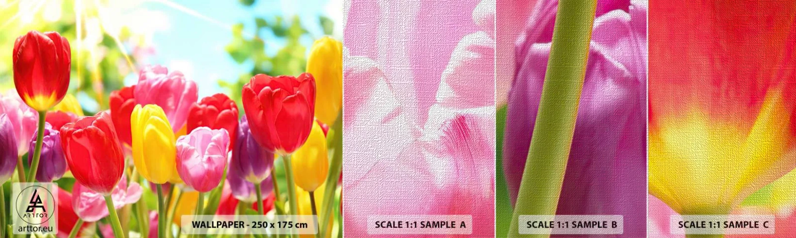 Fototapeten Muster Premium Canvas - Wir sind es, die Farben des Mais! - Blumen, Tulpen, Garten - 100x30 cm