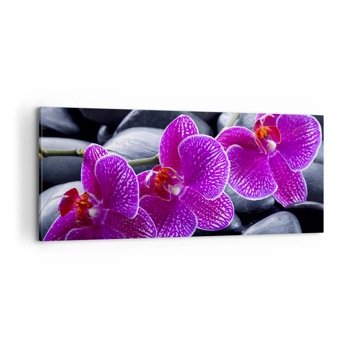 Bild auf Leinwand - Leinwandbild - Die Steine glühten vor Freude - 100x40 cm