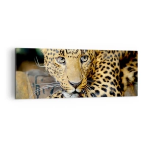 Bild auf Leinwand - Leinwandbild - Porträt eines Leoparden in seiner natürlichen Umgebung - 140x50cm - Keine Angst, komm mal her - Moderne Wanddekoration für Wohnzimmer und Schlafzimmer ARTTOR