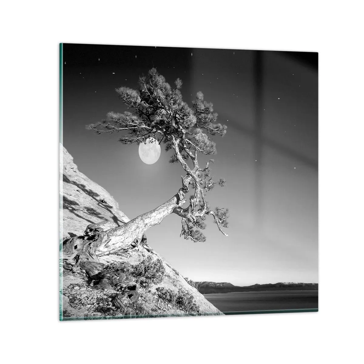 Glasbild - Bild auf glas - Siegreiche Kämpferin - 60x60 cm