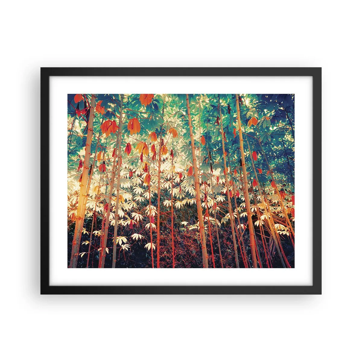 Poster in einem schwarzem Rahmen - Das geheime Leben der Blätter - 50x40 cm