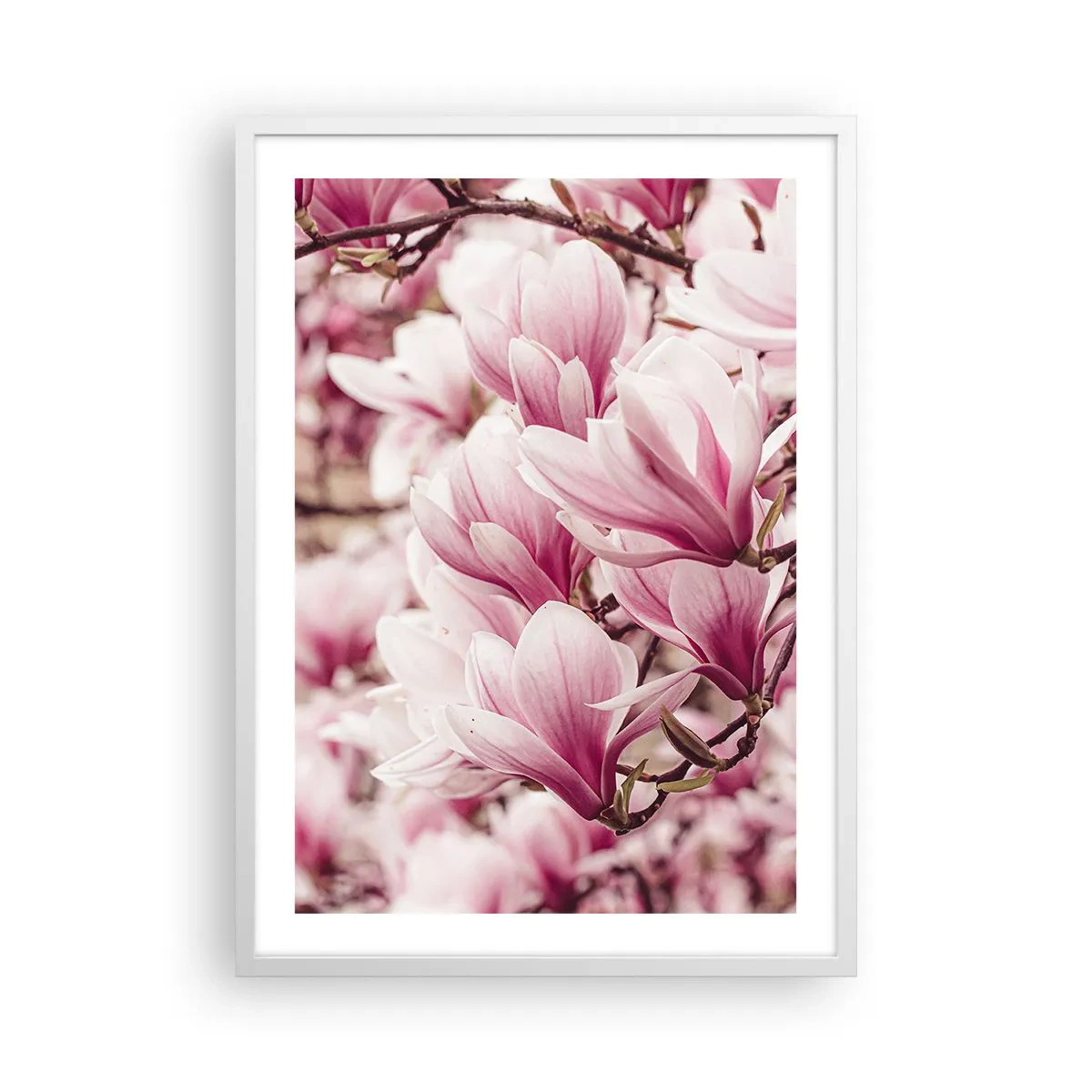 Poster in einem weißen Rahmen - Frühling ist rosa - 50x70 cm
