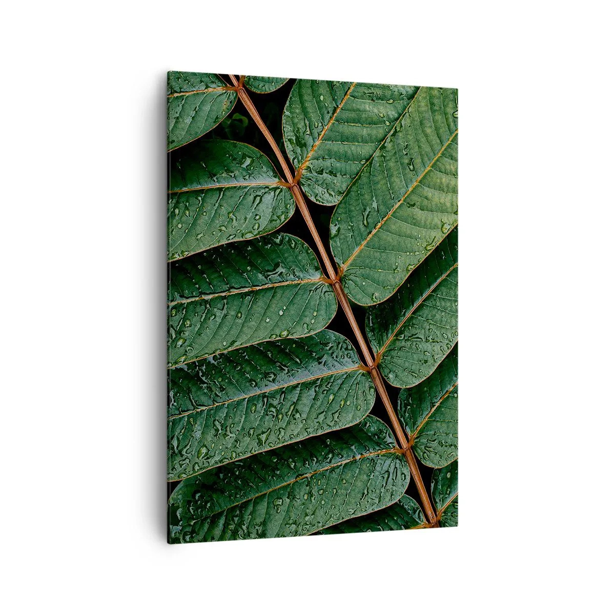 Bild auf Leinwand - Leinwandbild - Makroaufnahme von grünen Blättern mit Tautropfen - 70x100cm - Im grünen Rhythmus - Moderne Wanddekoration für Wohnzimmer und Schlafzimmer ARTTOR