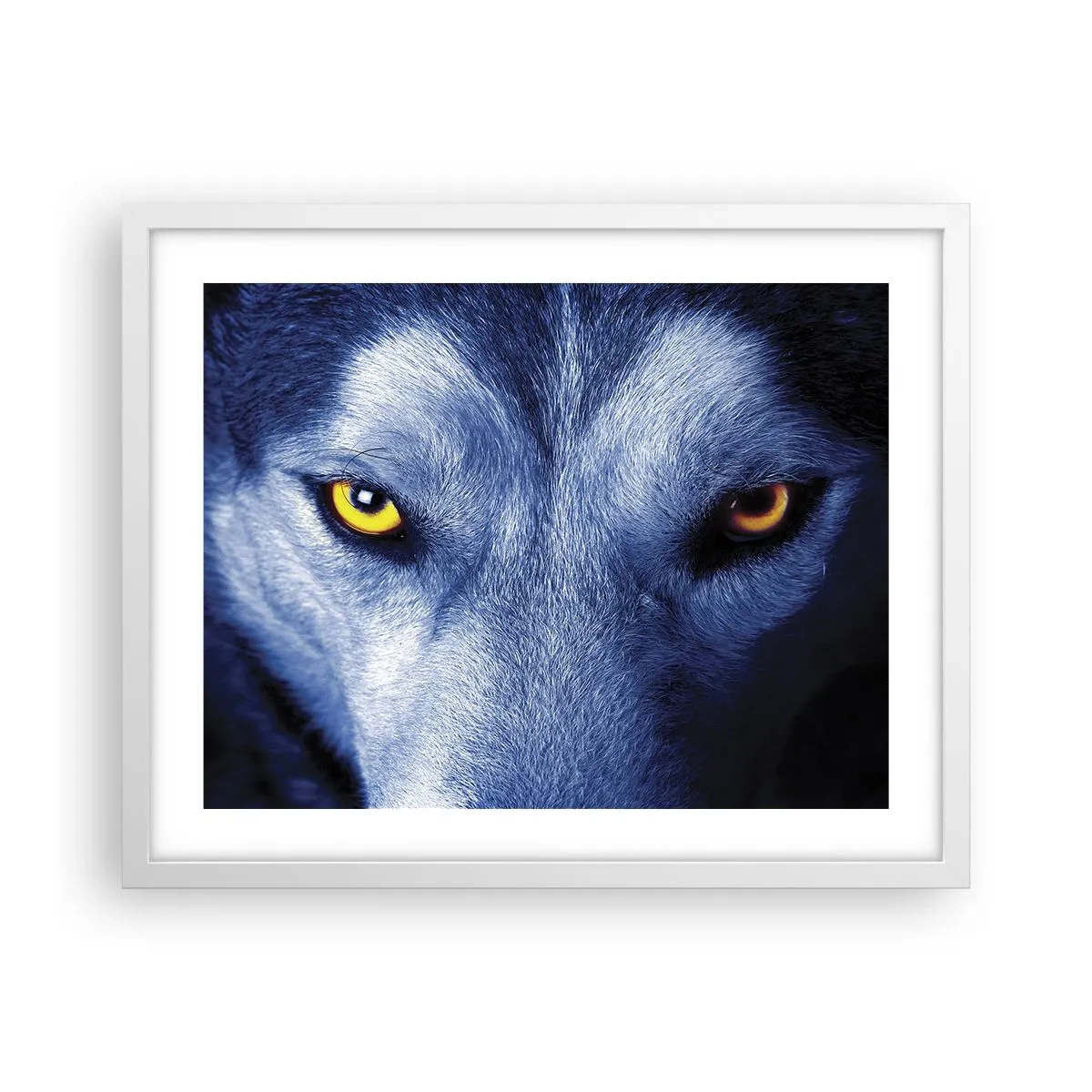 Poster in einem weißen Rahmen - Faszinierender Blick - 50x40 cm