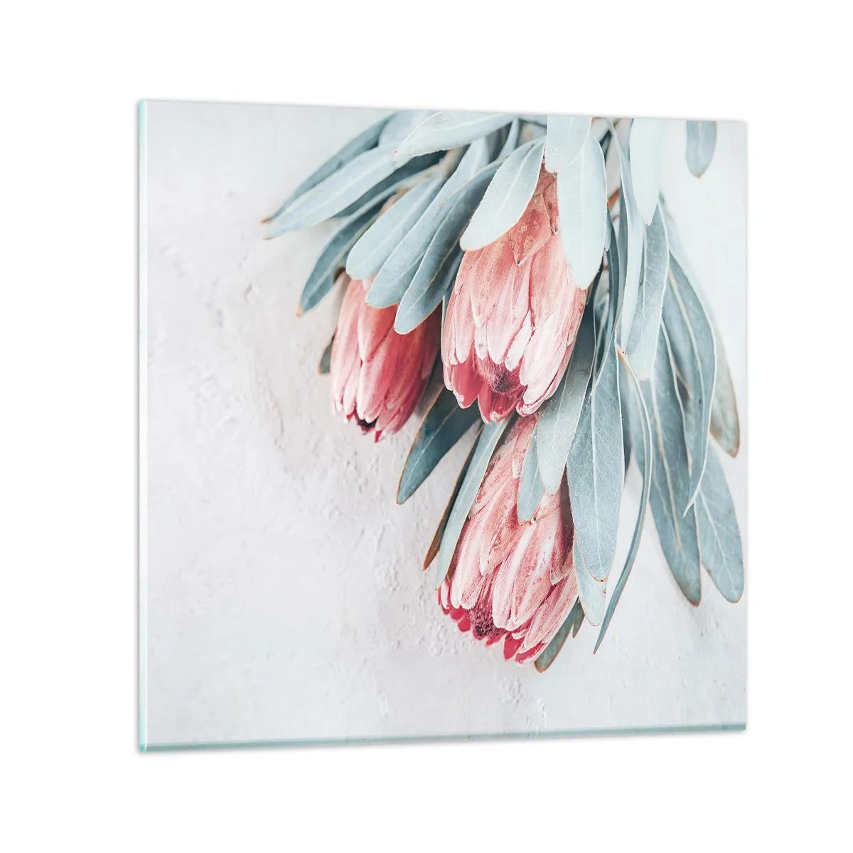 Glasbild - Bild auf glas - Schämen sich für ihre eigene Schönheit - 70x70 cm