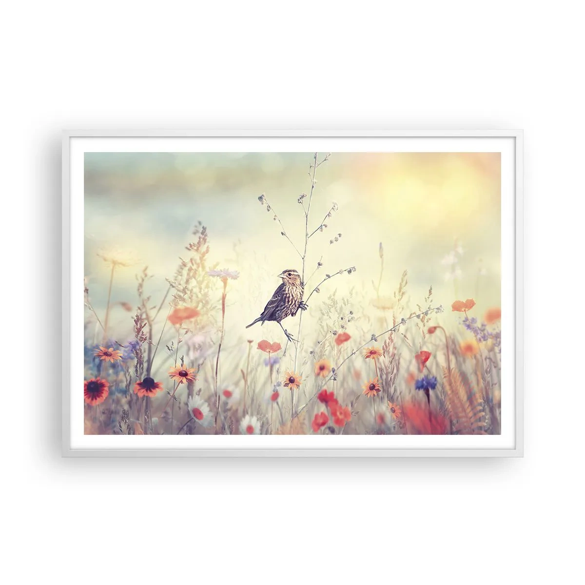 Poster in einem weißen Rahmen - Vogelporträt mit einer Wiese im Hintergrund - 100x70 cm