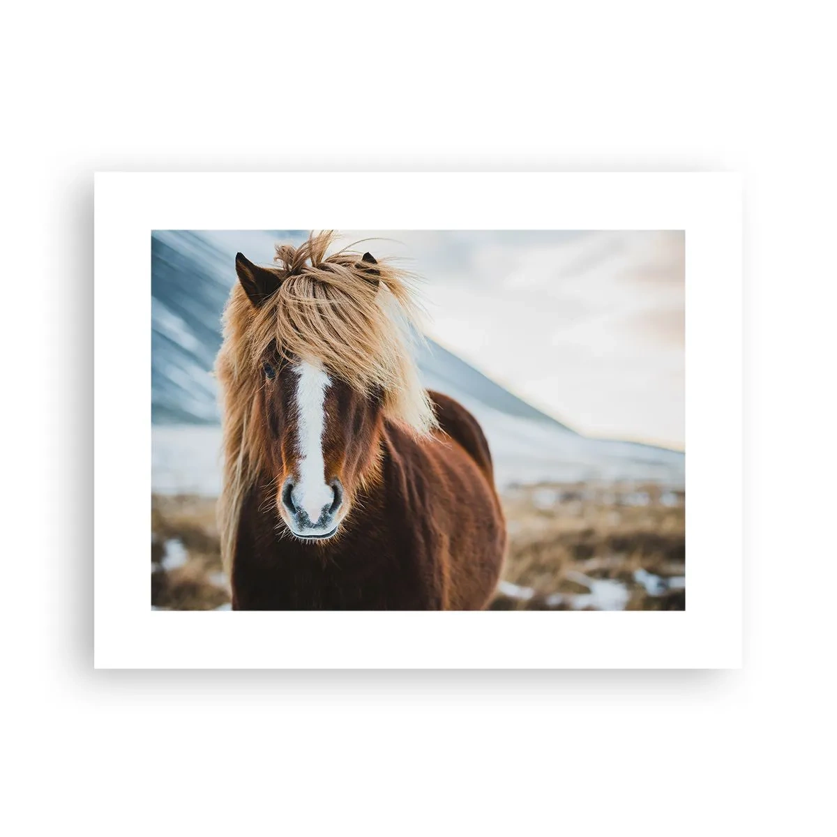 Poster - Spürst du die Freiheit? - 40x30 cm