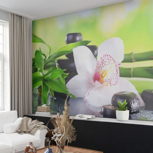 Fototapete Premium Canvas - Kühle Frische - Bambus, Blume, Orchidee - 500x350 cm