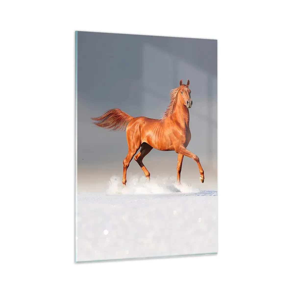 Glasbild - Bild auf glas - Ein galoppierendes Pferd vor blauem Himmel - 80x120cm - Tanzende Anmut - Moderne Wanddekoration für Wohnzimmer und Schlafzimmer ARTTOR