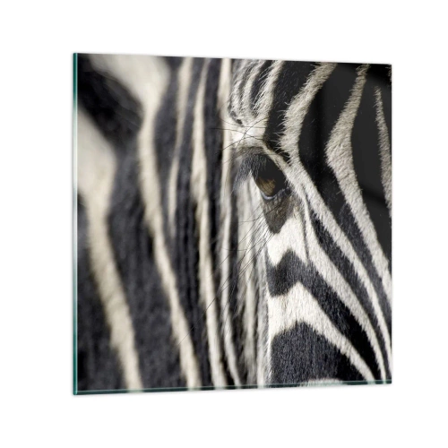 Glasbild - Bild auf glas - Gestreiftes Porträt - 50x50 cm