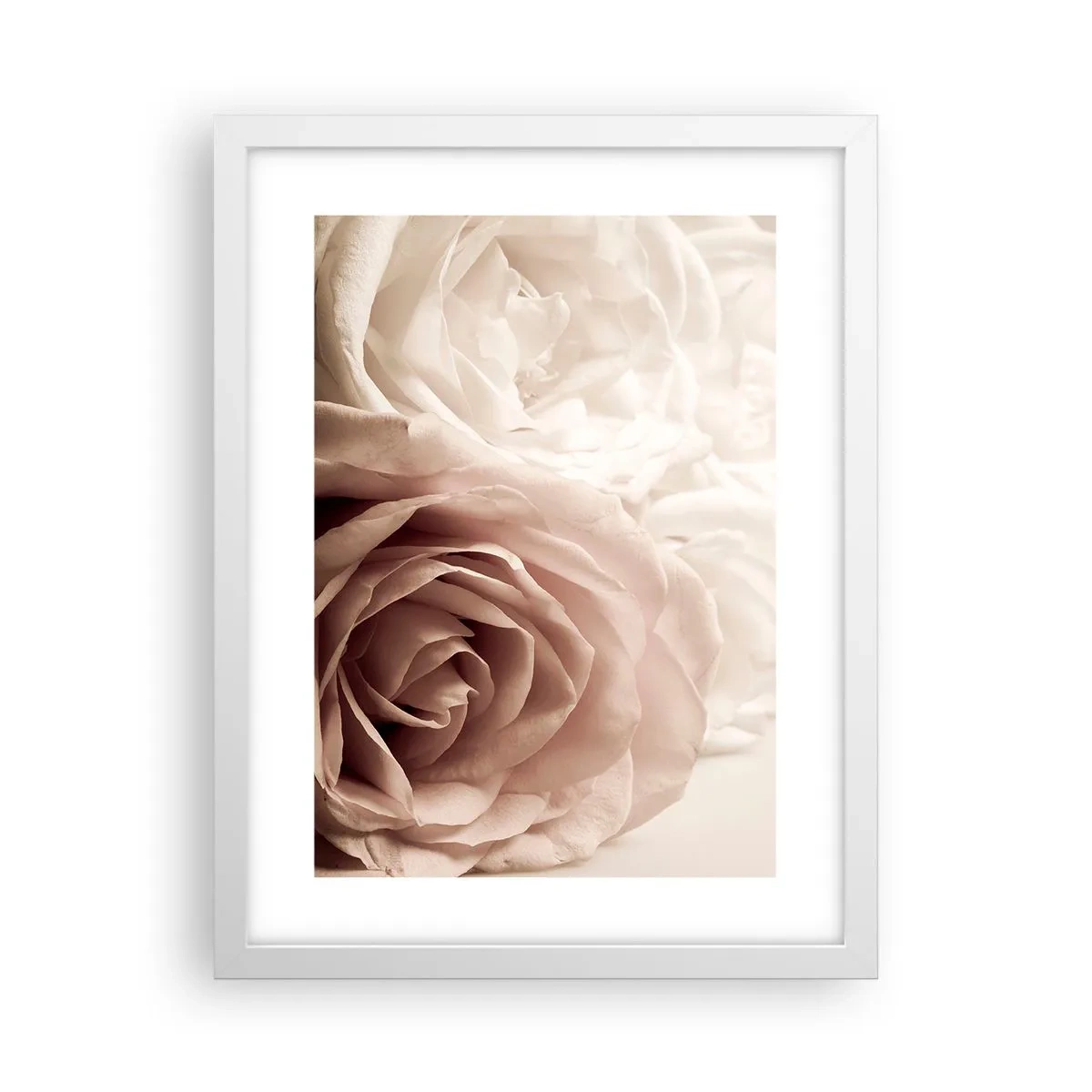 Poster in einem weißen Rahmen - Im Herzen der Rose - 30x40 cm