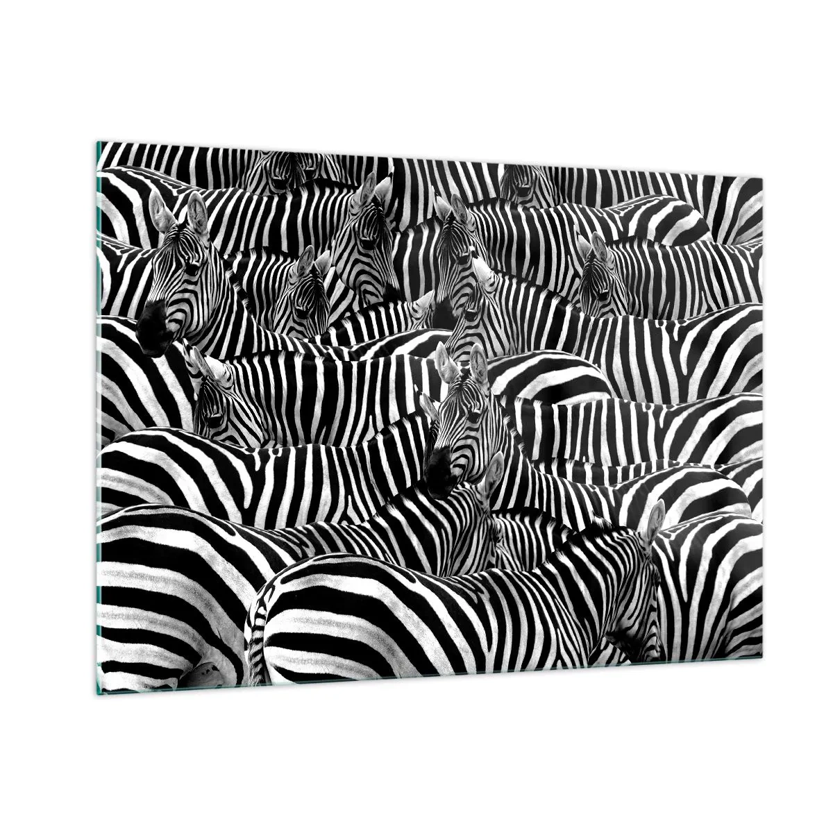 Glasbild - Bild auf glas - Eine Herde Zebras in Monochrom - 100x70cm - Gestreiftes Gruppenportrait - Moderne Wanddekoration für Wohnzimmer und Schlafzimmer ARTTOR