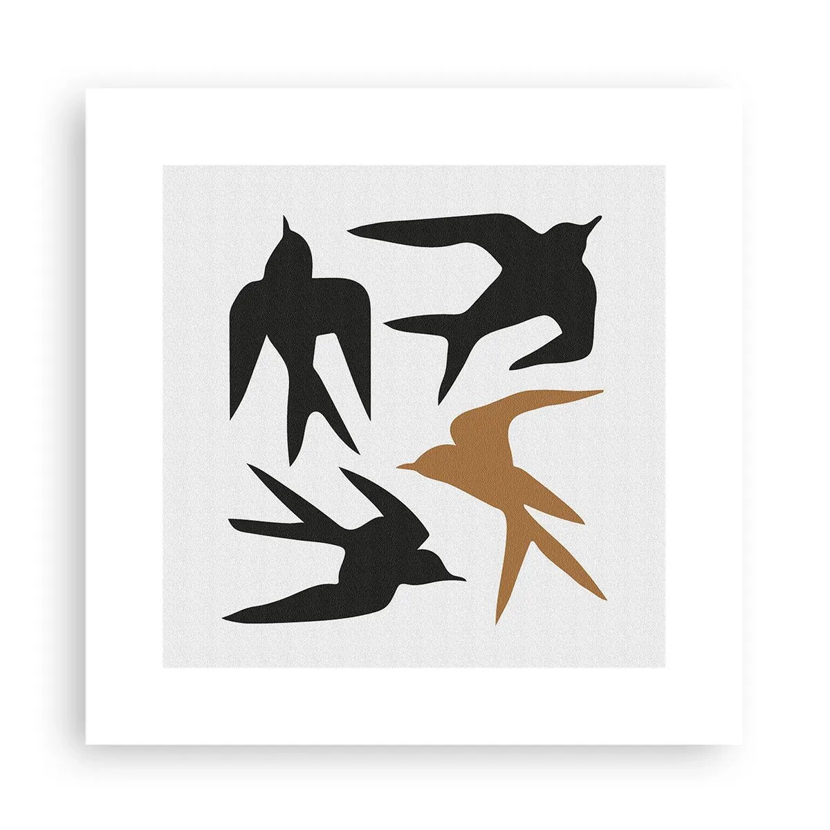 Poster - Schwalbenspaß - 30x30 cm