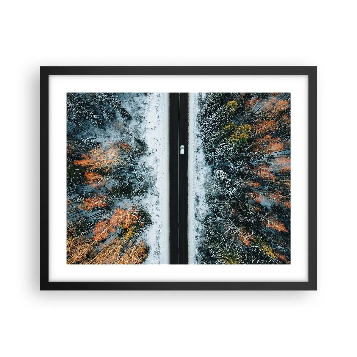 Poster in einem schwarzem Rahmen - Schnitt durch den Winterwald - 50x40 cm